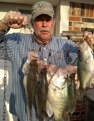 Anita Phillips Largemouth Bass