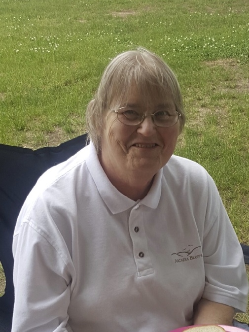 Susan Myers Obituary Record Eagle