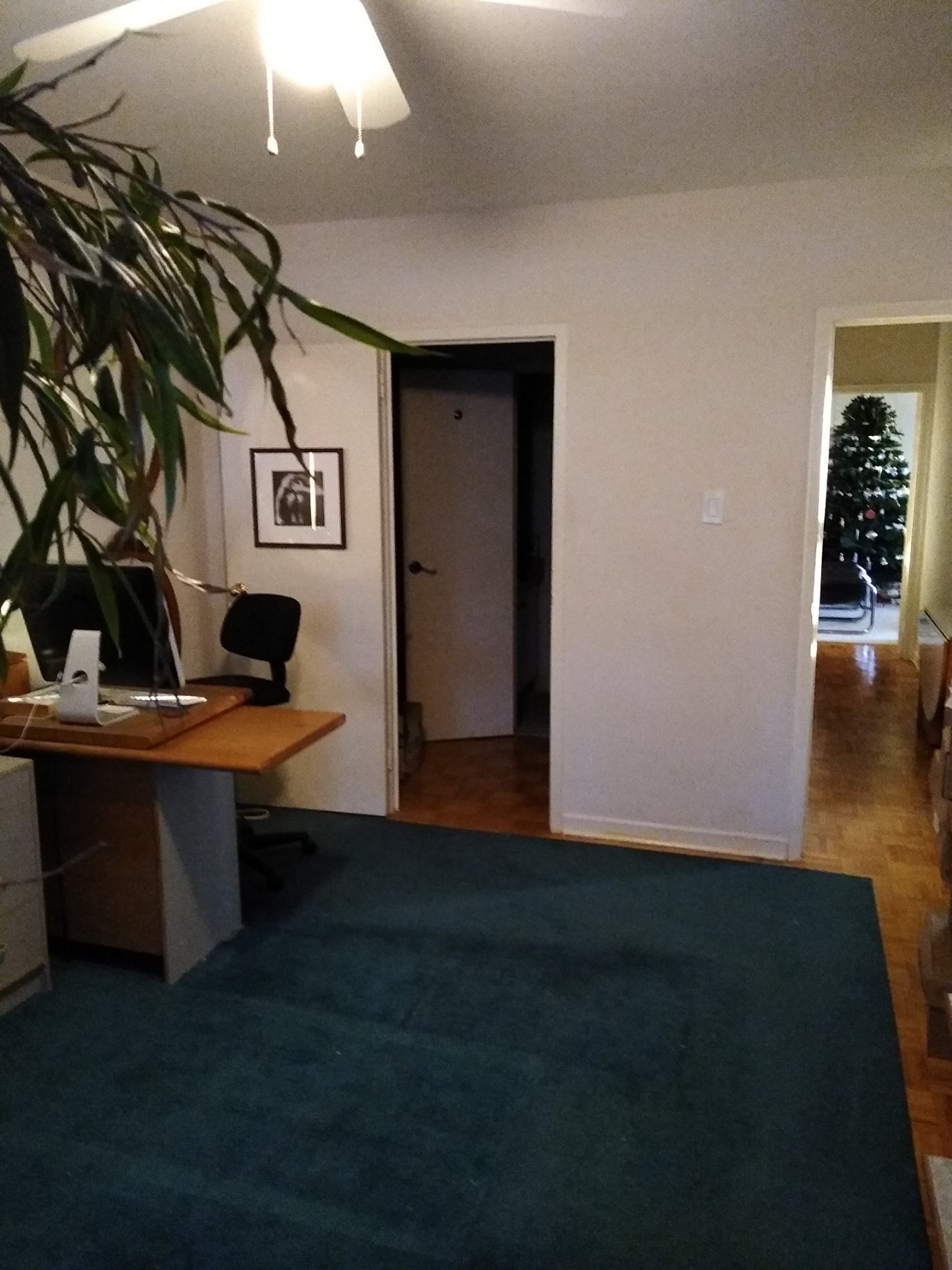 Toronto Sun Classifieds For Rent North York Room For